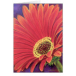 Red Daisy Flower Painting - Multi Card