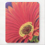 Red Daisy Flower Painting - Multi Mouse Mats