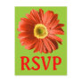 Red Daisy Flower RSVP Or Custom Postcards