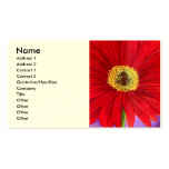 Red Daisy Gerber Flower Painting Art - Multi Business Card Template