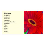 Red Daisy Gerber Flower Painting Art - Multi Business Cards