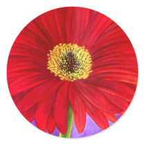 Red Daisy Gerber Flower Painting Art - Multi Sticker