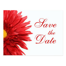 Red Daisy Save the Date Postcard