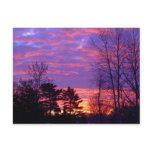 Red Dawn Postcard