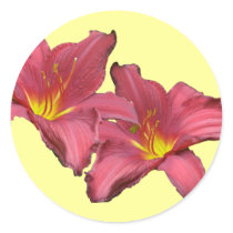 Red Daylily Coordinating Items Round Sticker