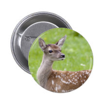 Red Deer Fawn Badge Pin