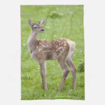Red Deer Fawn Kitchen Towel