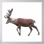 Red Deer. Posters
