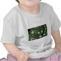 Red Dog rose flowers T Shirt