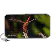 Red Dragon Speaker