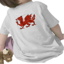 Red Dragon Tee Shirts