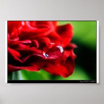 Red Droplet Print