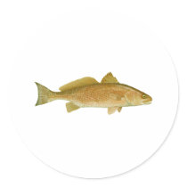 Red Drum Stickers