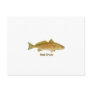 Red Drum (titled) Postcard