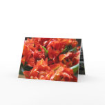 Red Dutch Tulips Amsterdam Flower Market Note Card