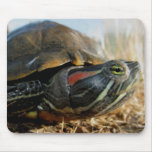red-eared-slider mouse mat