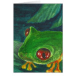 red eye green tree frog greeting cards