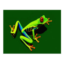 Red-Eyed Green Tree Frog Postcards