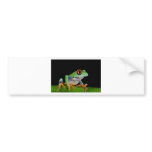 red eyed tree frog