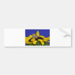 red eyed tree frog bumper sticker