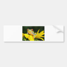 red eyed tree frog bumper sticker