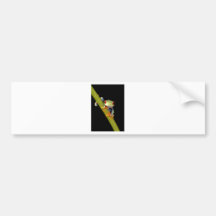 red eyed tree frog bumper sticker