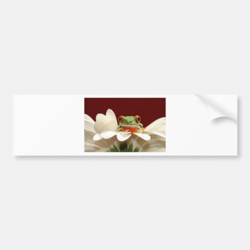 red eyed tree frog bumper stickers