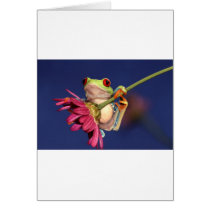 red eyed tree frog