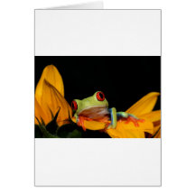 red eyed tree frog card