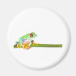 red eyed tree frog fridge magnet
