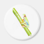 red eyed tree frog fridge magnet