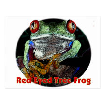 Red Eyed Tree Frog from JungleWalk Postcard