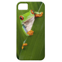 Red eyed tree frog iPhone 5 hoesjes