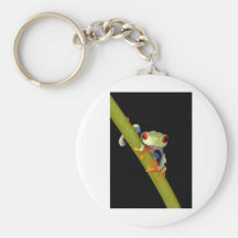 red eyed tree frog key chain