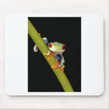 red eyed tree frog mouse pad