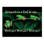 Red-Eyed Tree Frogs Thank you! Post Card
