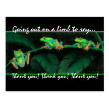 Red-Eyed Tree Frogs Thank you! Post Card