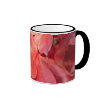 Red Fall Leaves Mugs