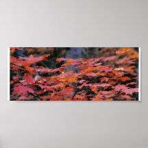 RED FALL LEAVES PRINT
