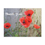 Red Field Corn Poppies Thank You Postcard