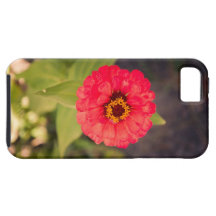 Red flower