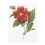 Red flower botanical illistration; Double dahlia Postcard