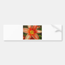 Red Flower Bumper Stickers