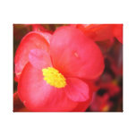 Red Flower Canvas Canvas Prints