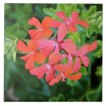 Red flower tiles