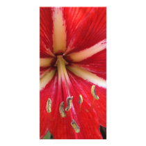 Red Flower Closeup Personalized Photo Card