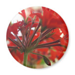 Red Flower Cluster magnet