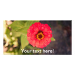 Red flower custom photo card