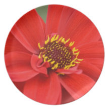 Red Flower Dinner Plate