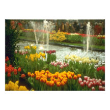 Red Flower exposition, Spring Bulbs Show flowers Personalized Invites